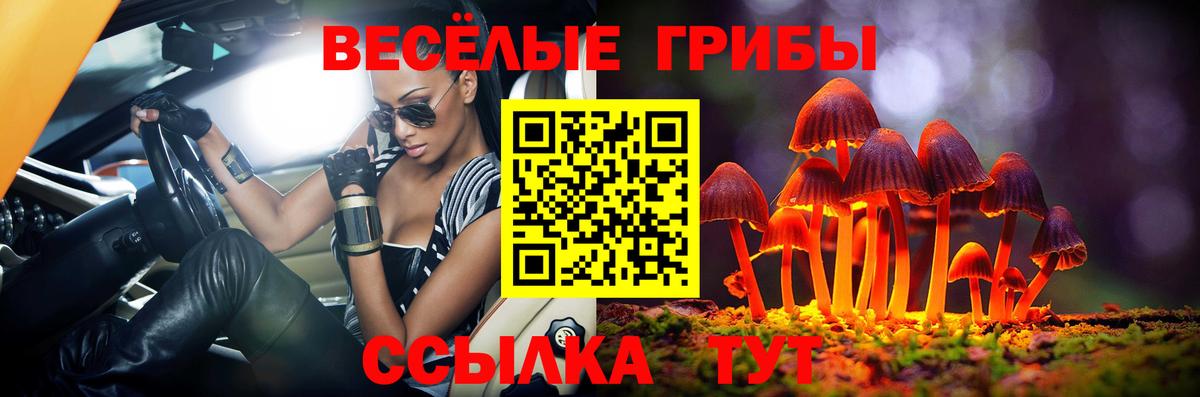 Псилоцибиновые грибы GOLDEN TEACHER  Галлюциногенные грибы прущие грибы  Вход с VPN  Черкесск 