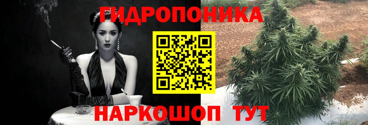 Черкесск  Бошки Шишки сатива  Бошки марихуана конопля  Бошки марихуана планчик  Вход с VPN 